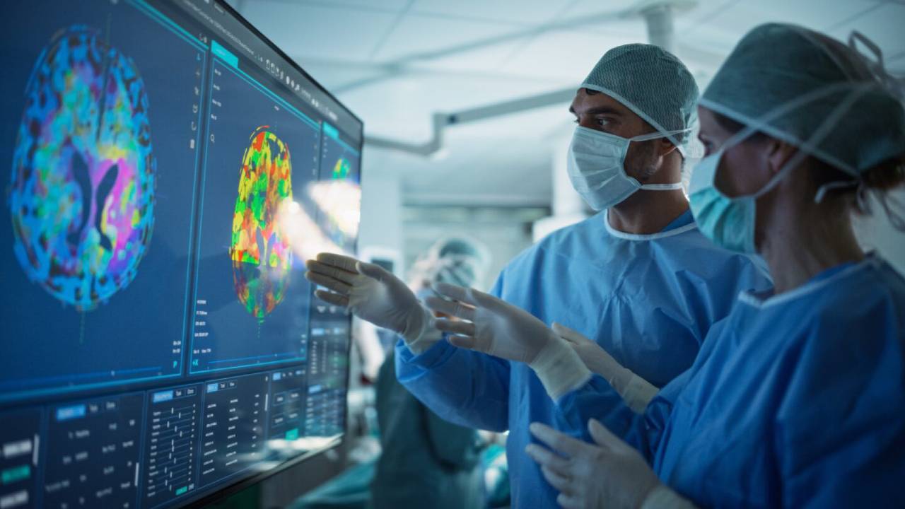 Human brain evolved from 2 ancient nervous systems: Stanford study