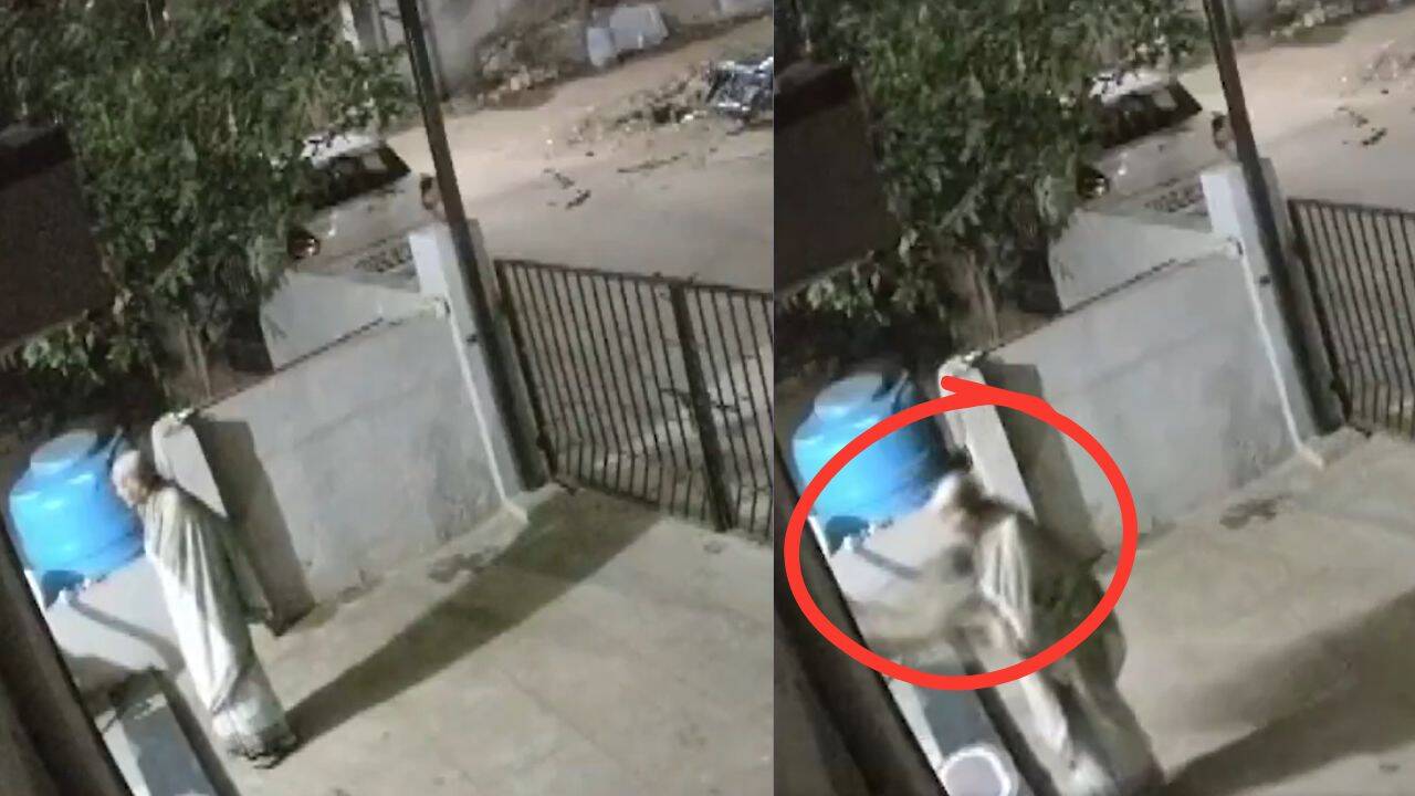 91-year-old woman dies after monkey attacks, pushes her in Karnataka