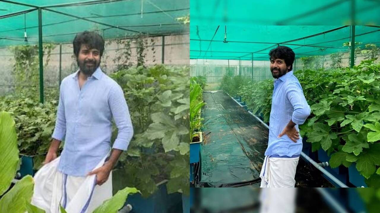 Sivakarthikeyan’s Home Greenhouse: actor’s quiet kitchen garden on ECR; fans connect with ‘In my home garden’