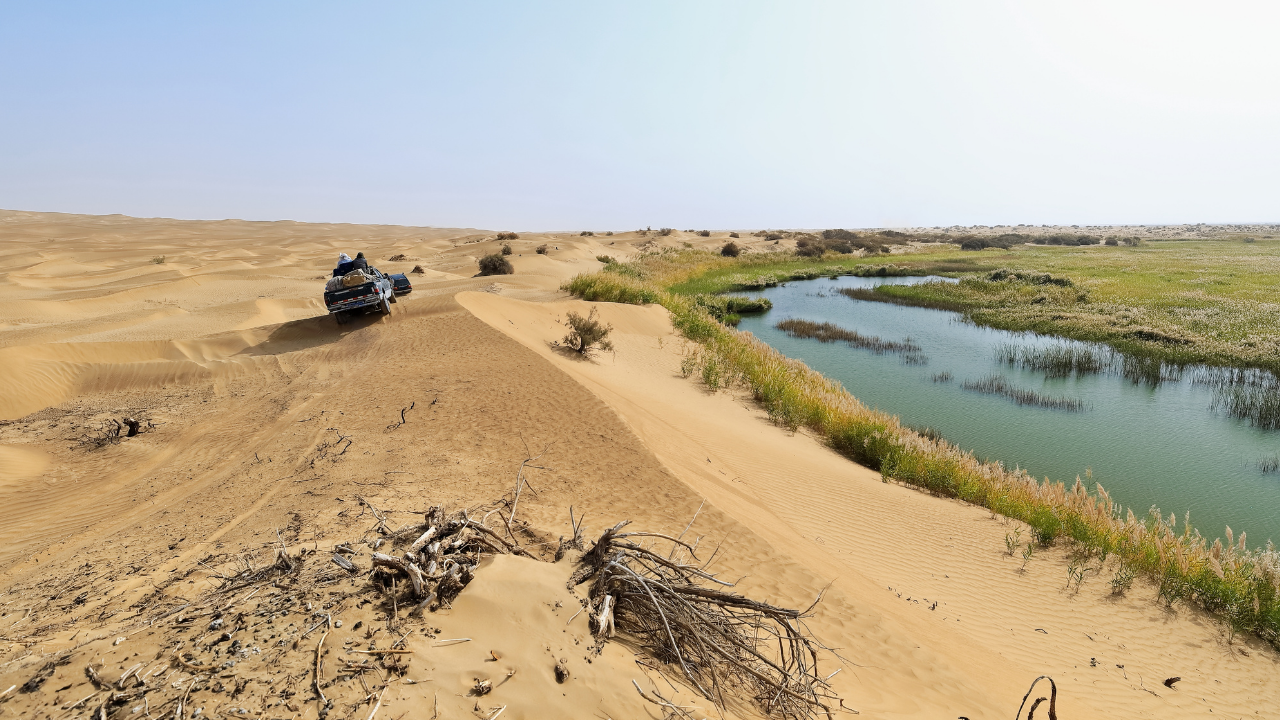 Taklamakan Desert, which is surrounded by a green belt of plants, now might have hidden water resource