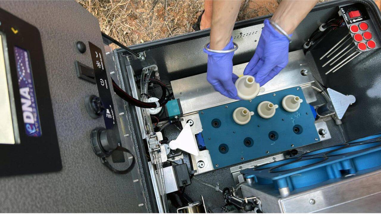 $29,595 robot scans Colorado River for invasive fish DNA before they spread