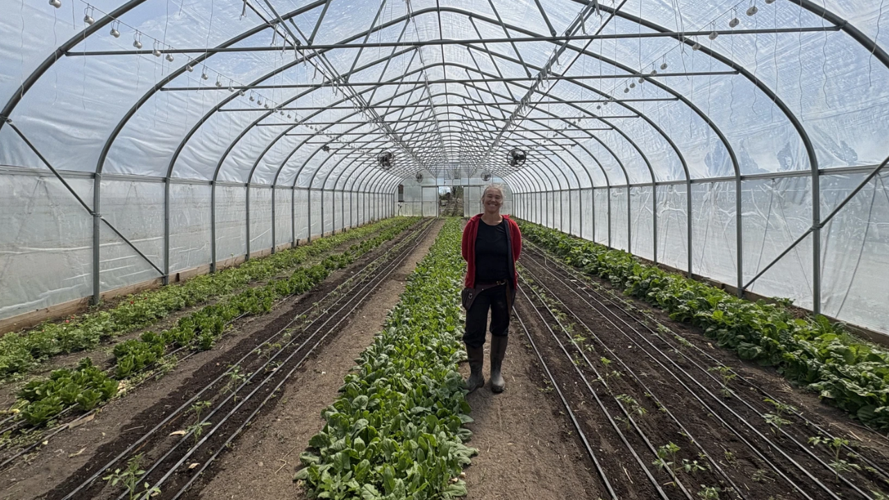 In 2010, a financially ruined couple started farming on leased land; after hitting $100,000...