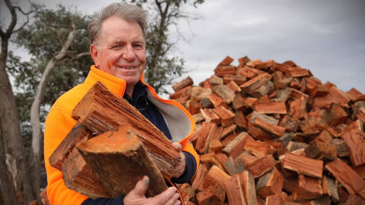From law school to selling 1 million bags of firewood