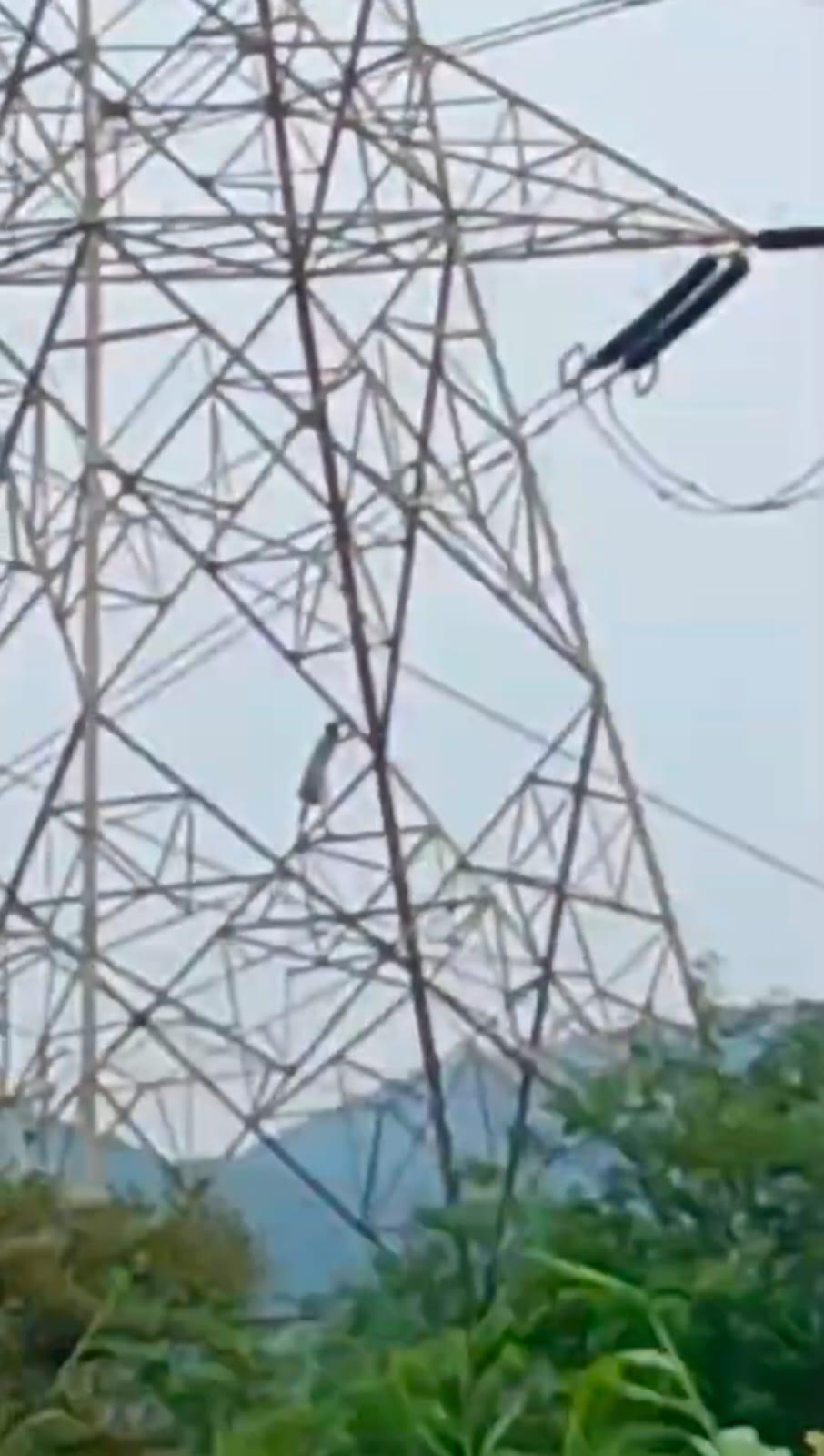 Woman climbs 50-ft high-tension tower after married lover refuses to marry her