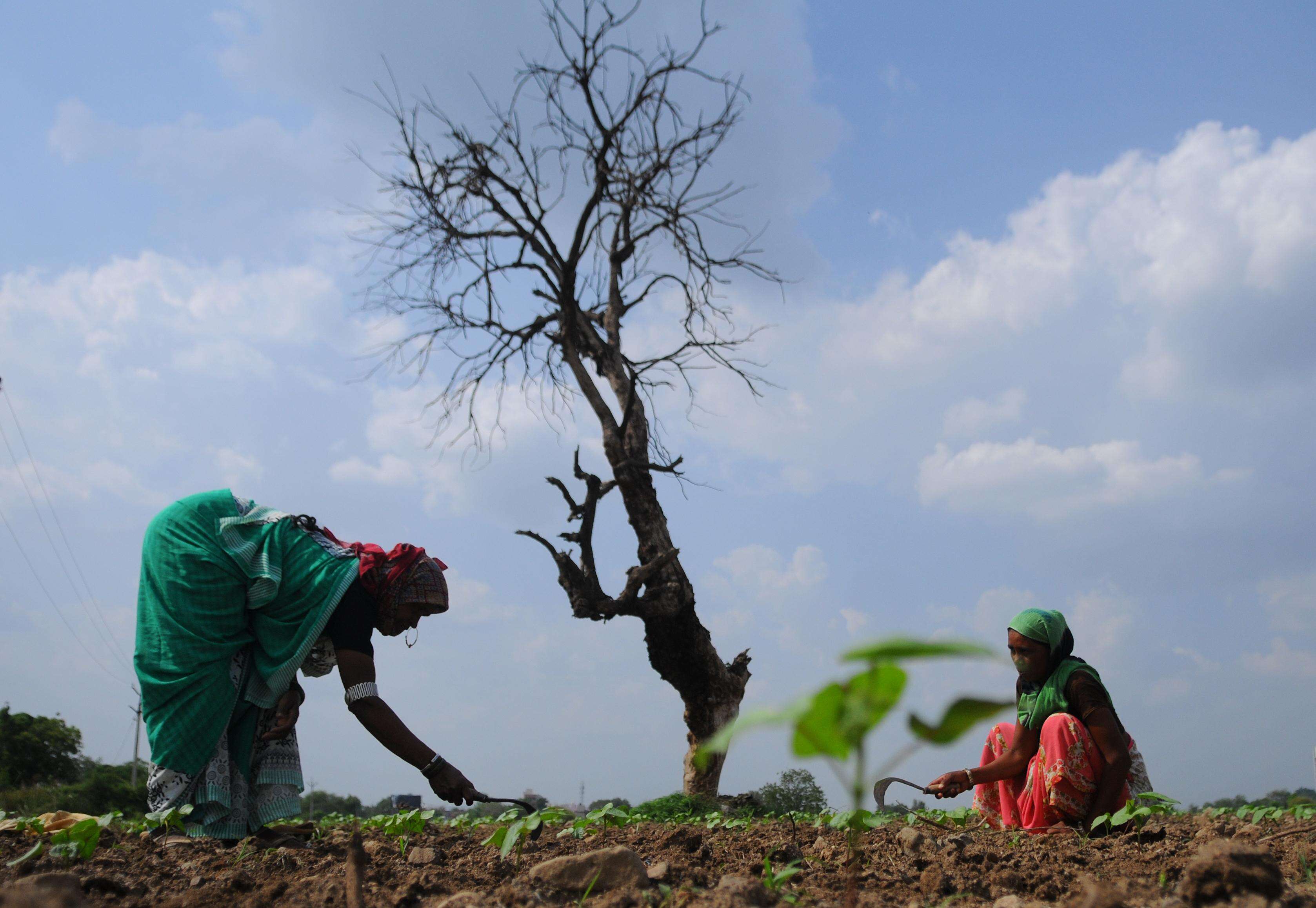Scientific Action Committee Demands Legal Sanctions Against Unregulated Weather Forecasters