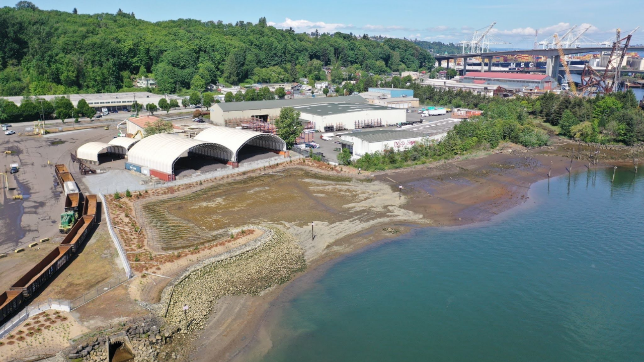 Seattle restores 2.8 acres of lost Duwamish habitat; fish are already returning