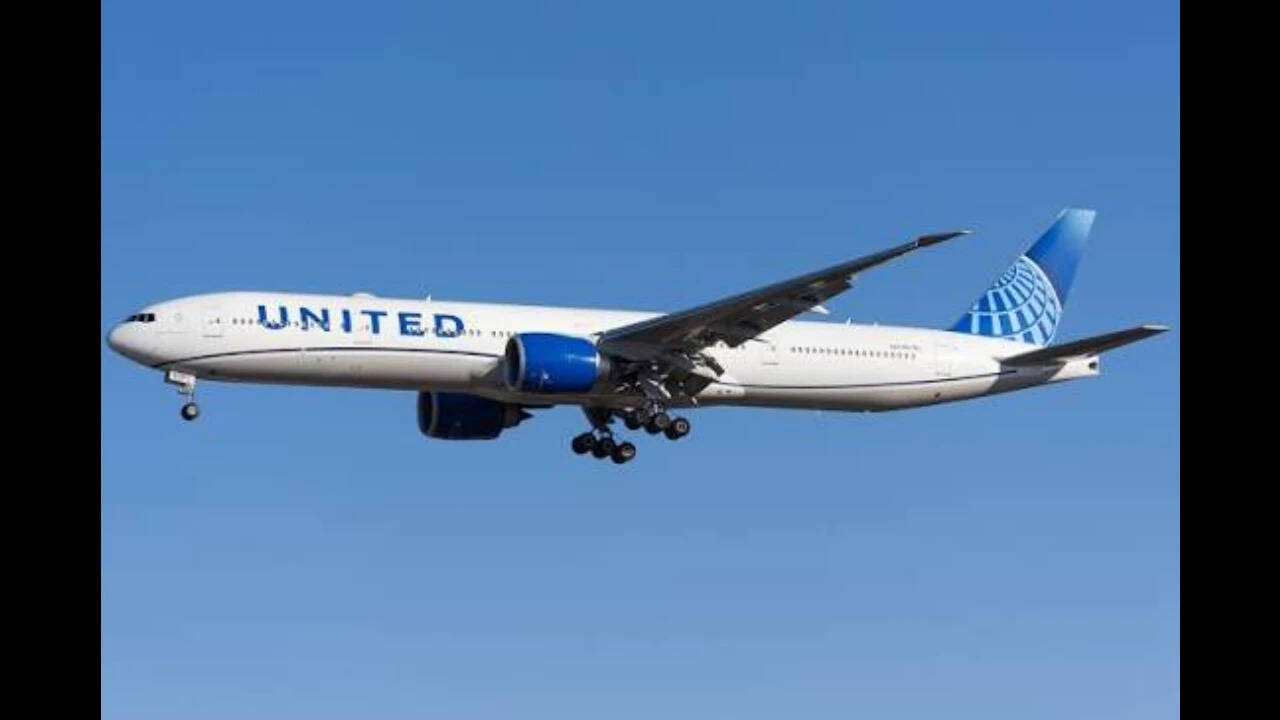 Woman says she was forced to sit next to man who was masturbating, was later given $100 flight credit; United Airlines launches probe