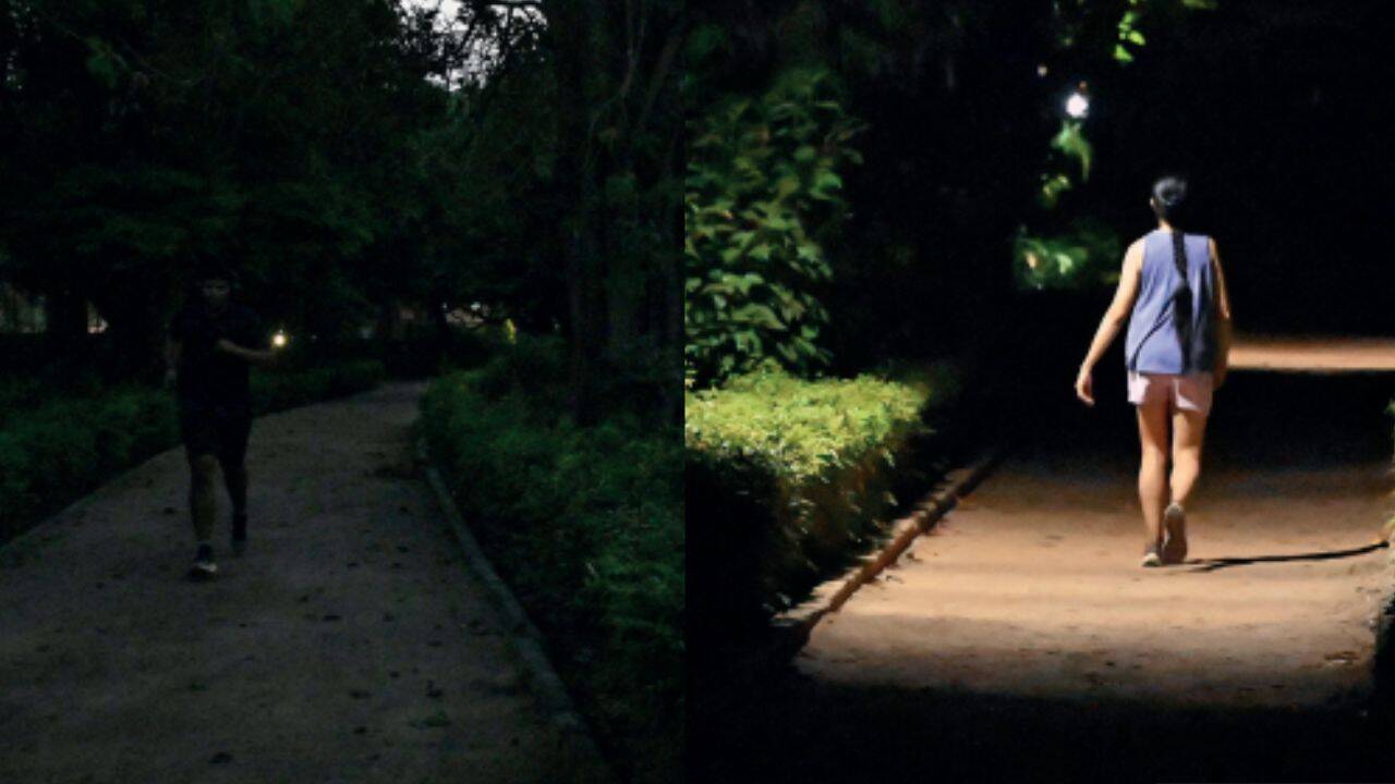 Dangers unseen: Unprotected and unlit, Delhi parks fail safety tests after dark