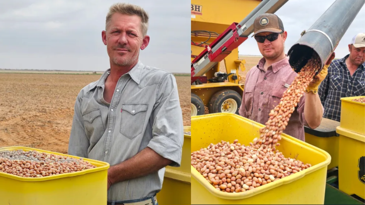He quit school at 12 bagging peanuts; now runs a Texas farm and 16-acre vineyard