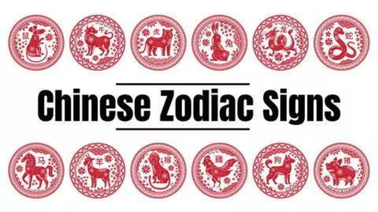 Yang Water Tiger Day: Chinese zodiac forecast explains key energies; patience beats impulse