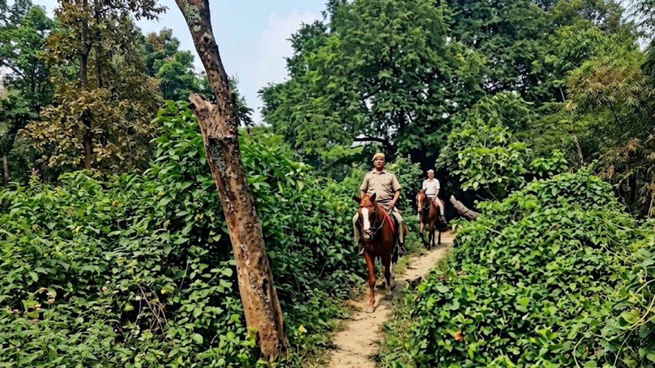 Delhi Police Environmental Audit Exposes Severe Security Vulnerabilities in Public Parks