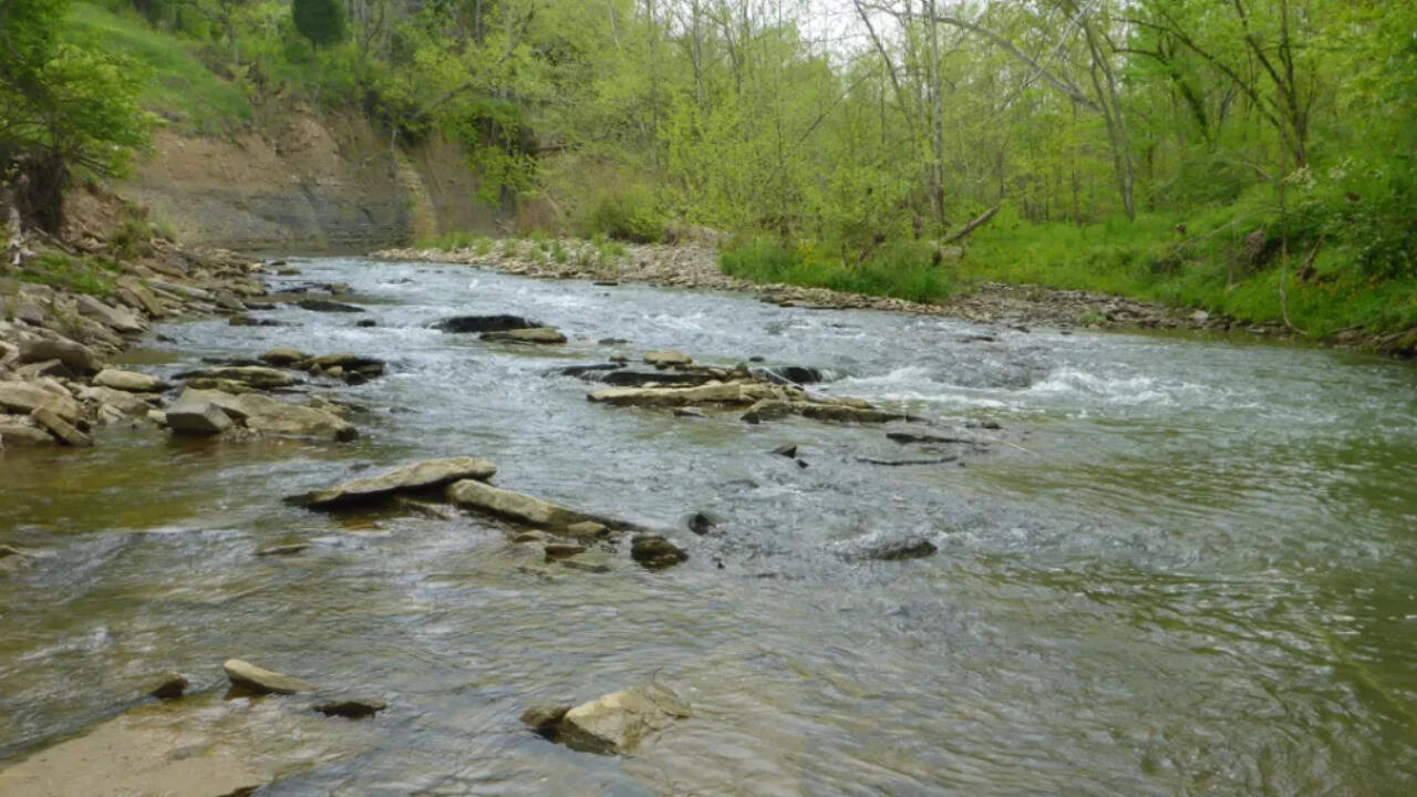 Kentucky woman spent 35 years creating nature preserve; sewer project takes easements