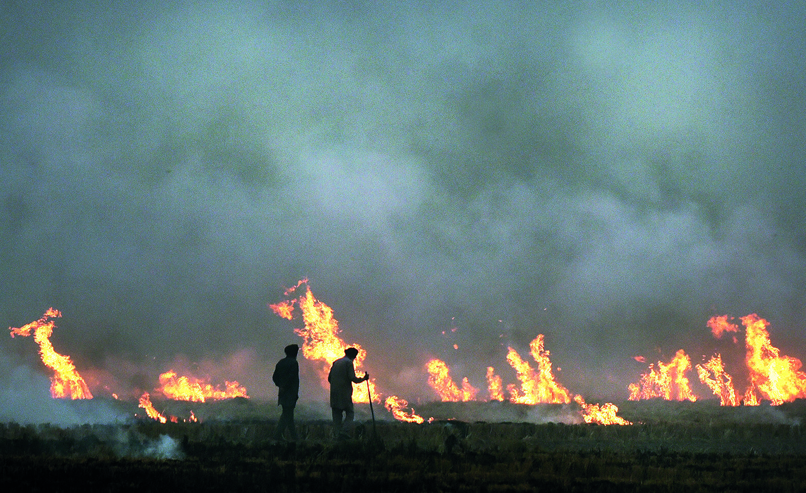 Punjab Records Sharp Rise in Farm Fire Incidents