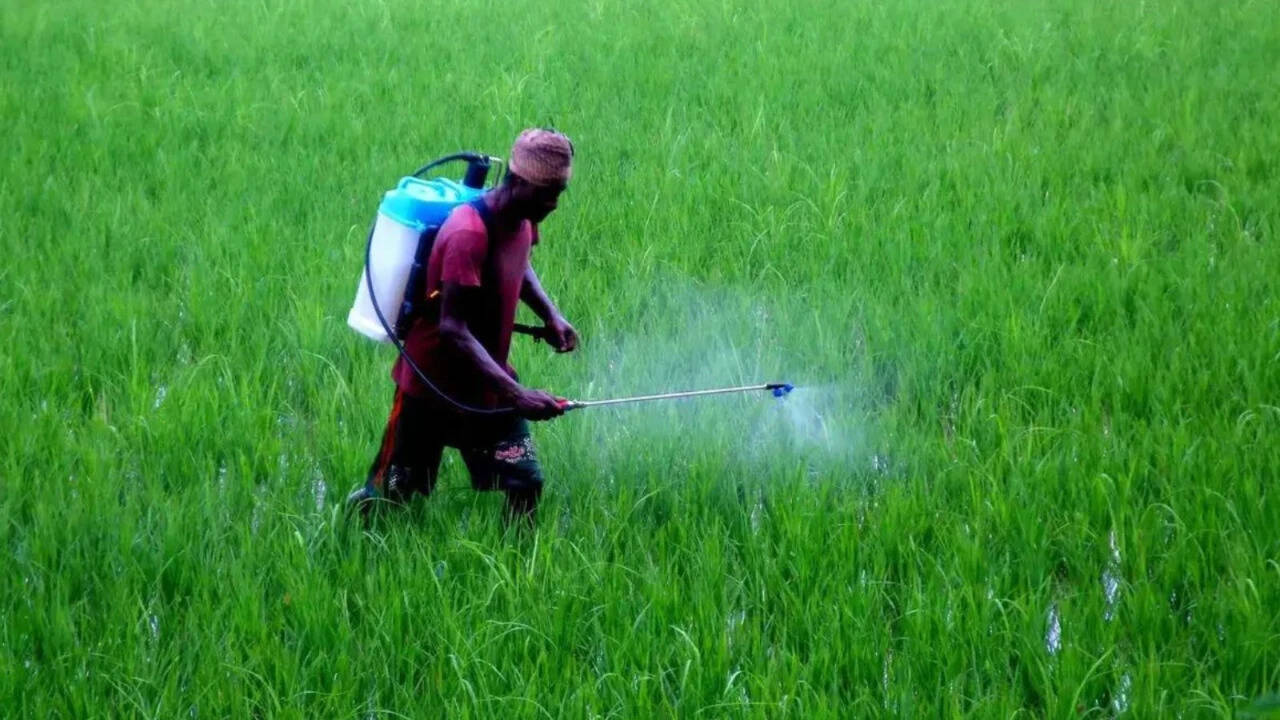 Amazon, Flipkart & JioMart fined for illegal herbicide sale