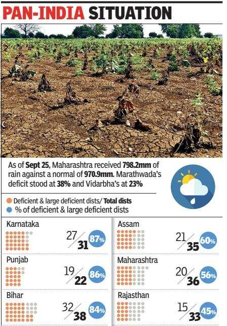 IMD reports prolonged rainfall shortfall across Maharashtra, raising drought concerns