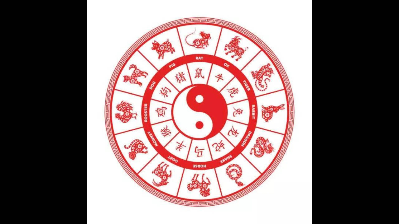 Silence And Strategy Guide: Yi Si Day favours quiet planning; Pig, Tiger need extra care