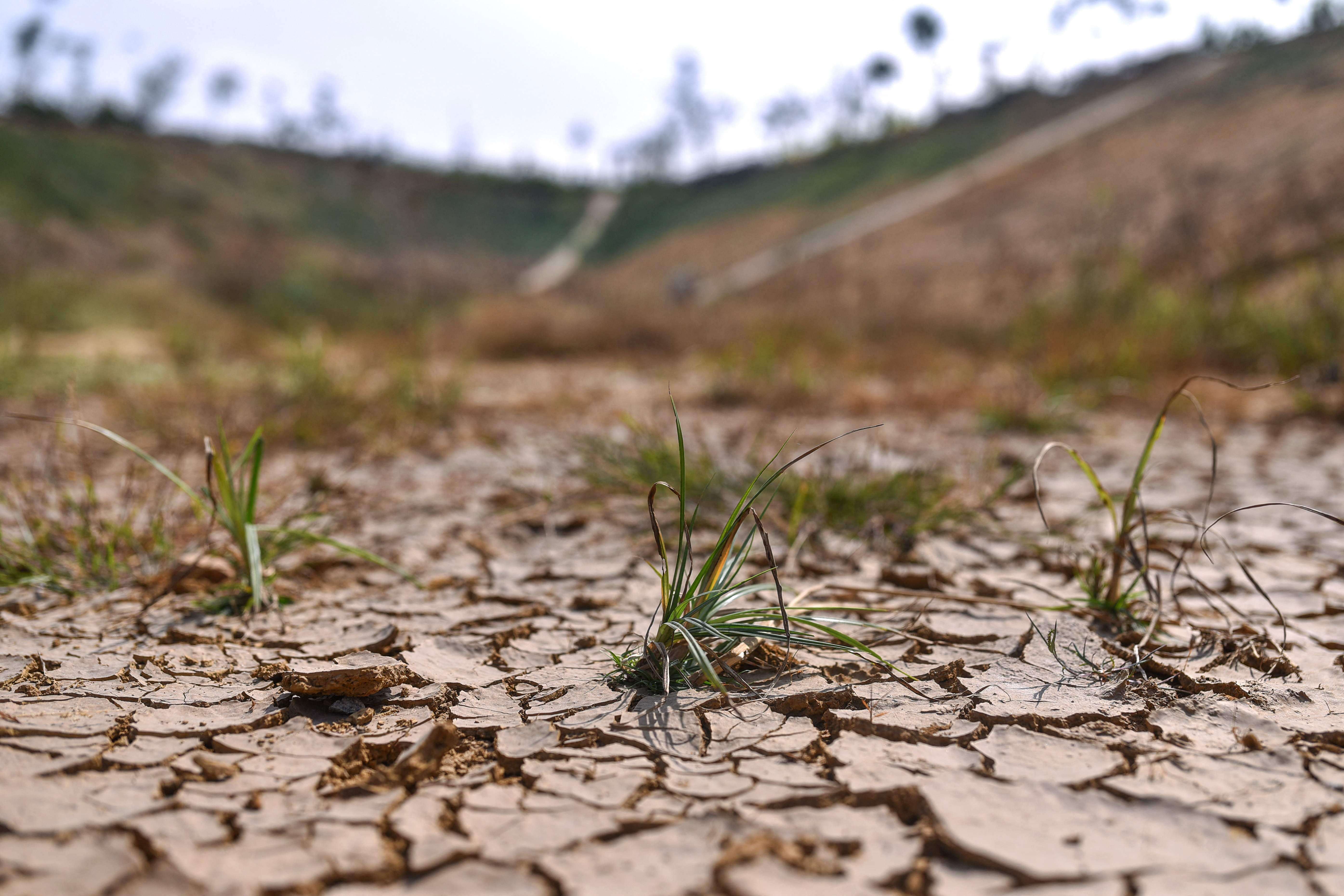 Drought across Maharashtra clouds Mumbai’s water relief despite 97% lake stock