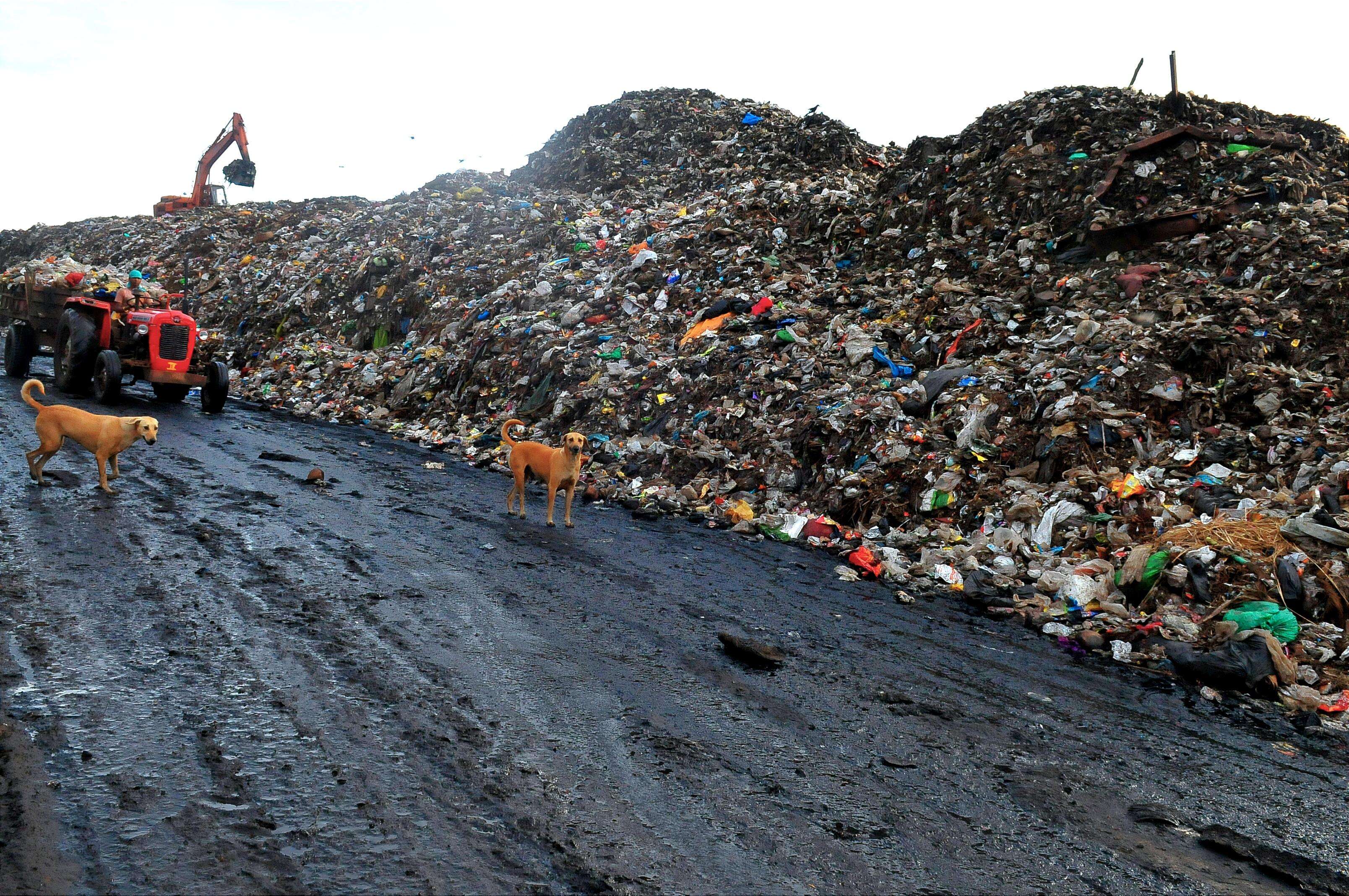 BMC to deploy 2 more unmanned boats to clear floating waste at Sassoon Dock in Mumbai