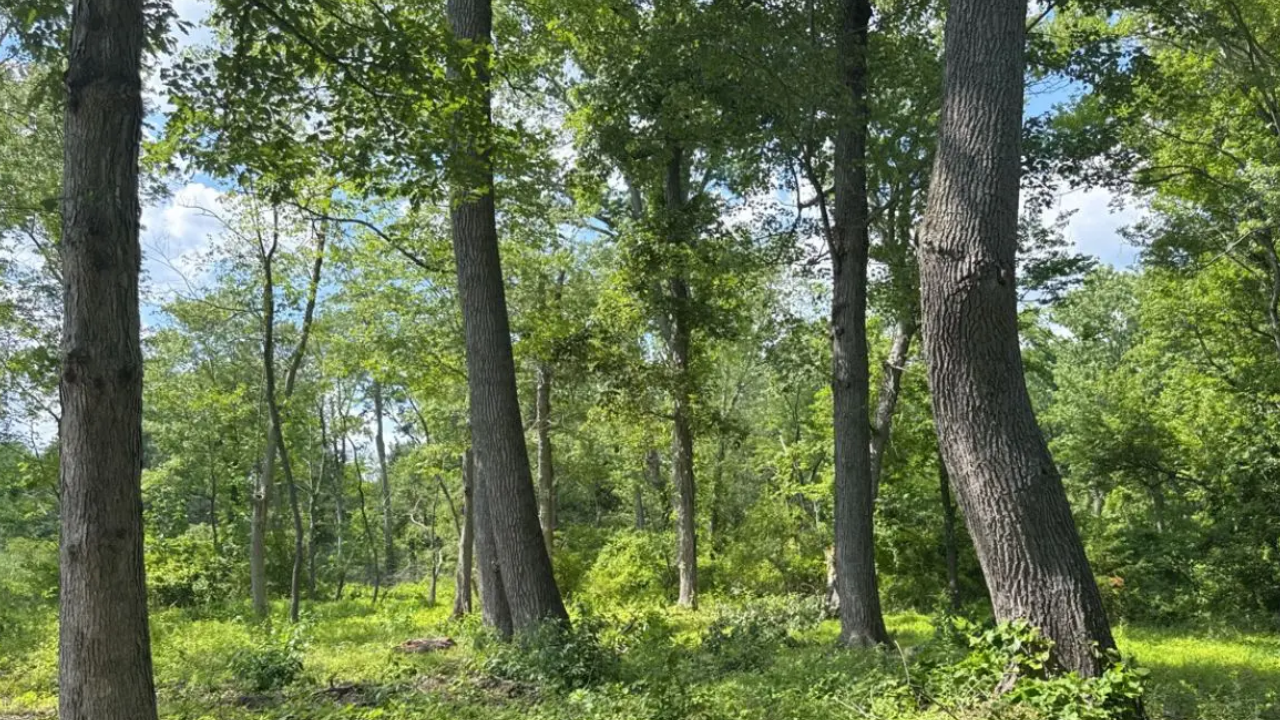 Pennsylvania Farm Conservation Easement: Becks protect 30-acre Bucks County farm; corridor aids at-risk wildlife