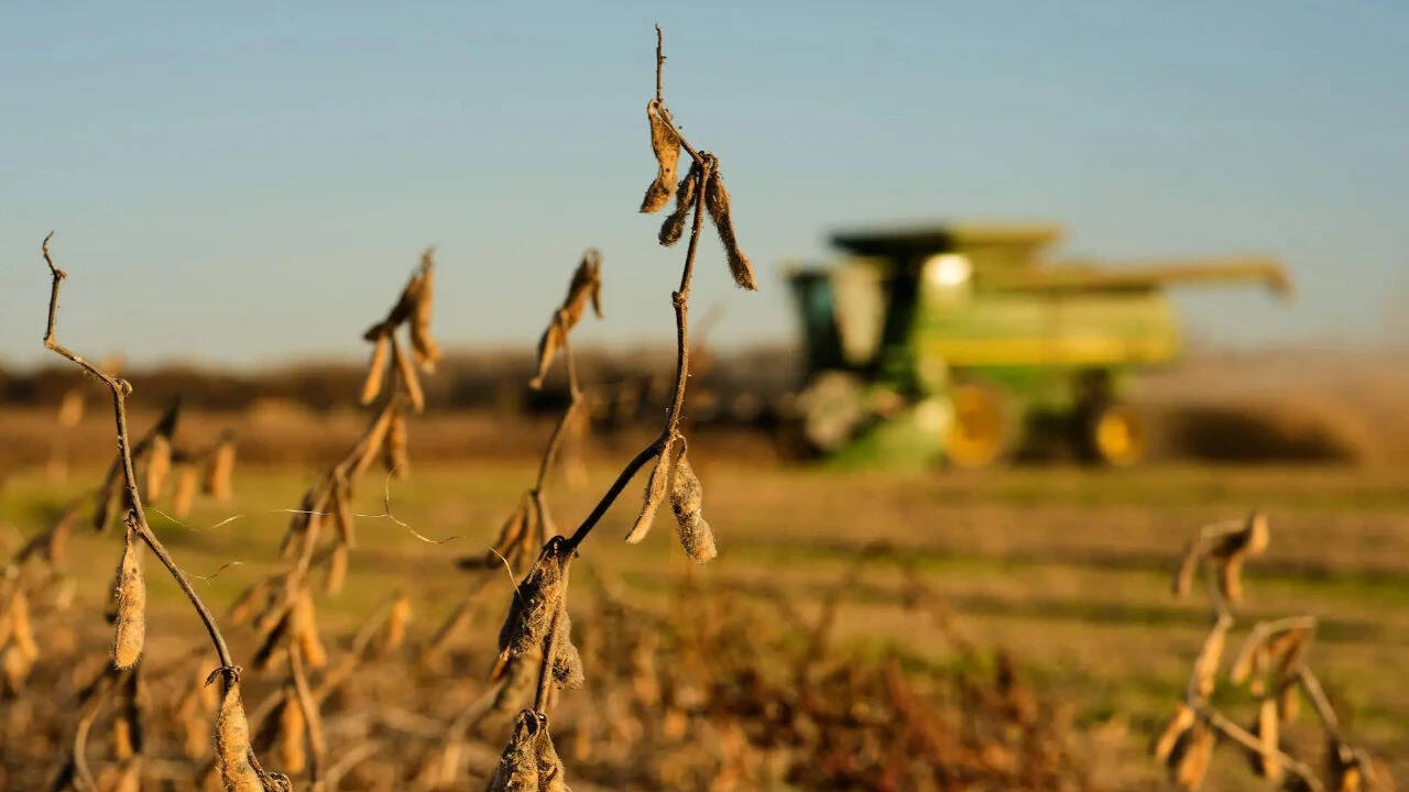 China cuts tariffs on US farm goods, but keeps soybeans on the other side