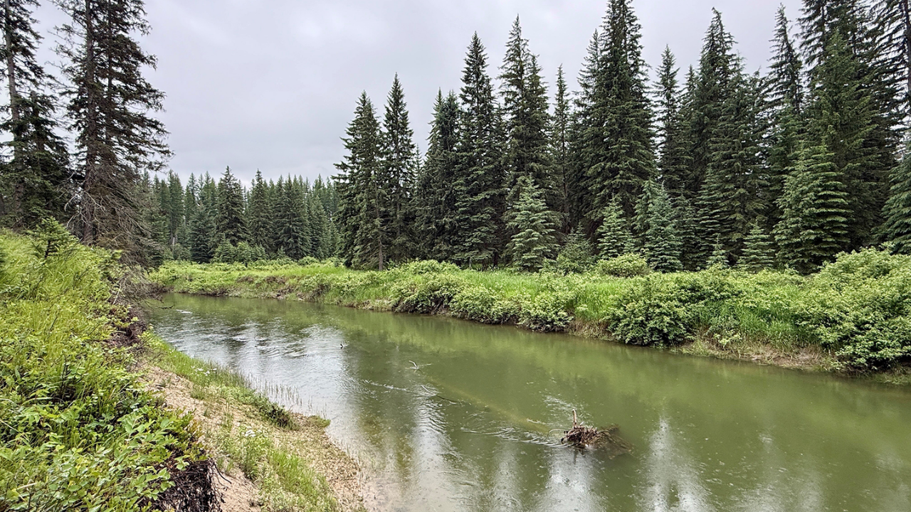 Montana couple permanently protects 57 acres along Stillwater River