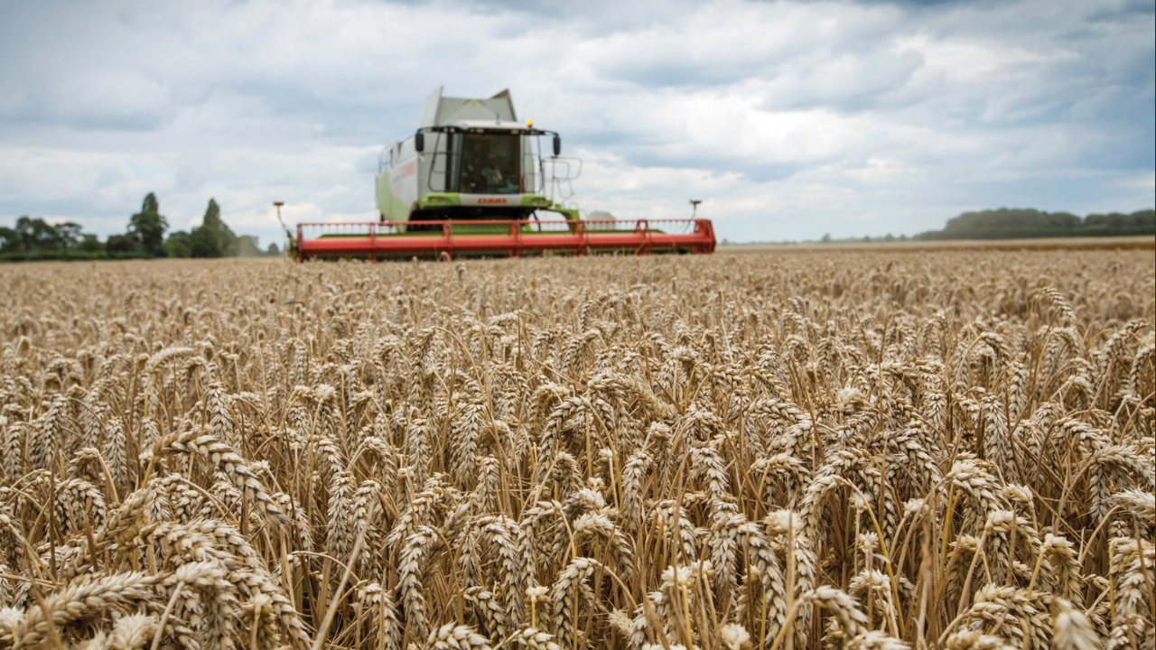 In 2002, a 3.5km sea wall was breached in five places at a 283-hectare Essex arable farm