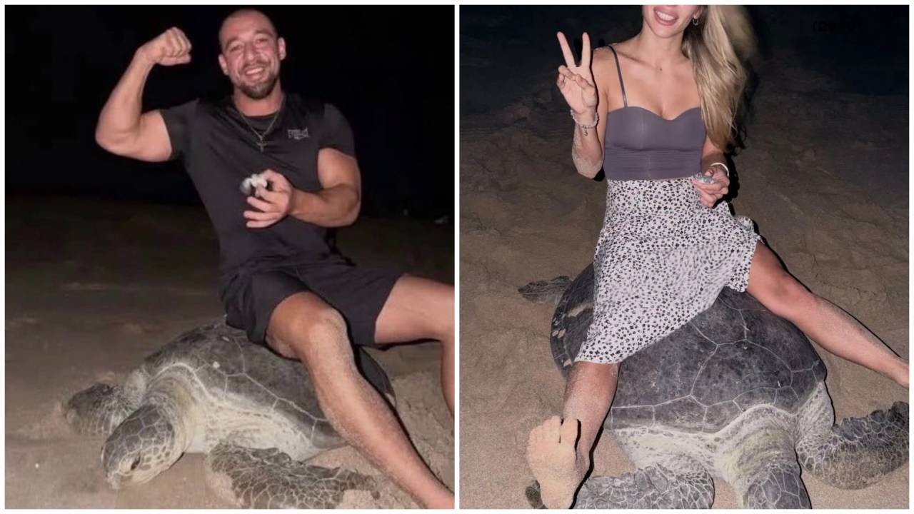 Ukrainian influencers face backlash for riding nesting sea turtle in Oman