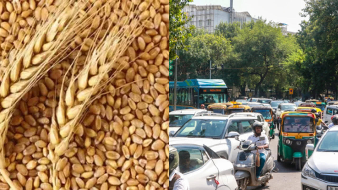 Rabi MSP hike, new green corridor, Delhi AI traffic system: Cabinet's 3 key measures