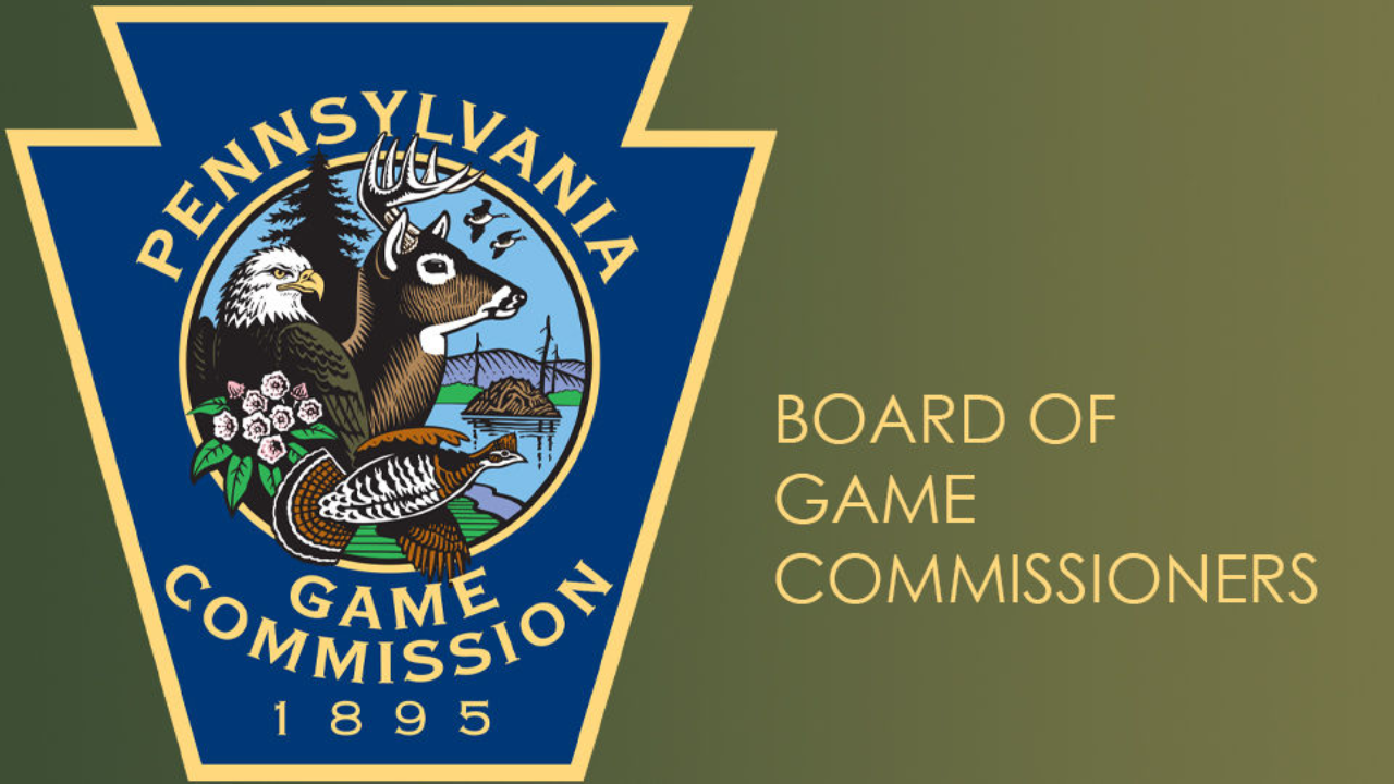 Pennsylvania to remove coal silt; project creates 19 acres of wetlands