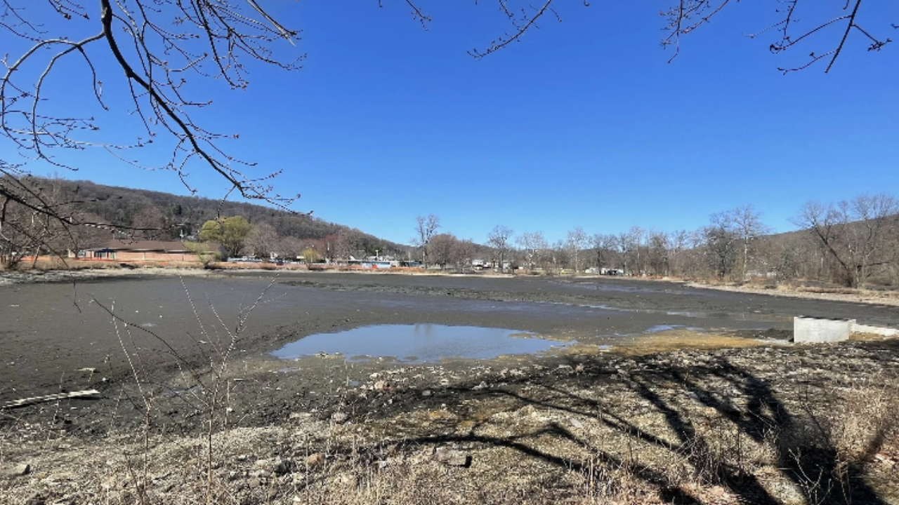 49 musk turtles return to Pennsylvania lake after pollution cleanup