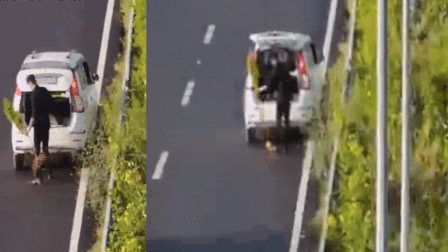 Man in WagonR with ‘POLICE’ sticker caught stealing plant from Delhi-Dehradun E-way