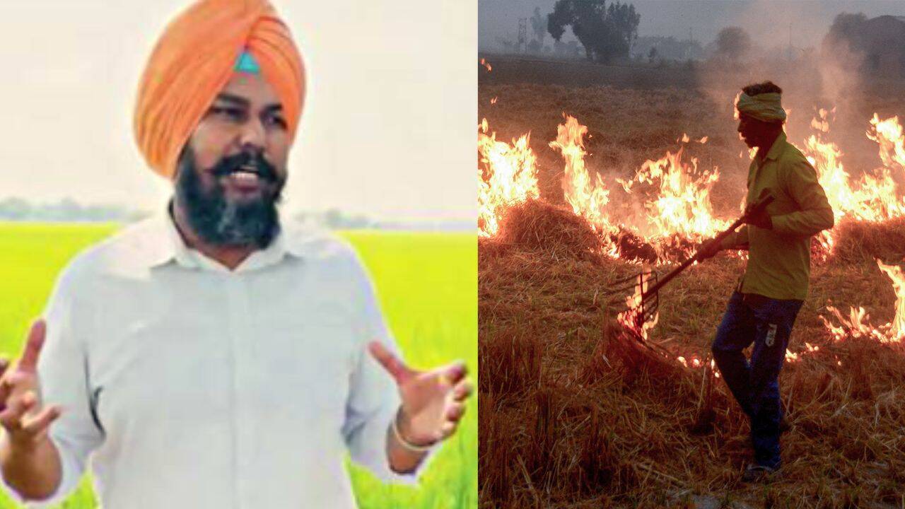 Punjab Agrarian Sector Confronts Persistent Ecological Challenges Despite Crop Diversification