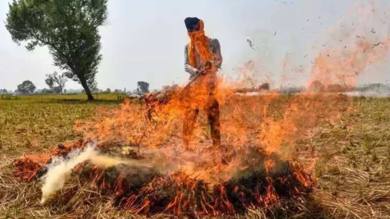 Navigating Stubborn Stubble: Haryana Targets Zero Burning Amid Technological Push