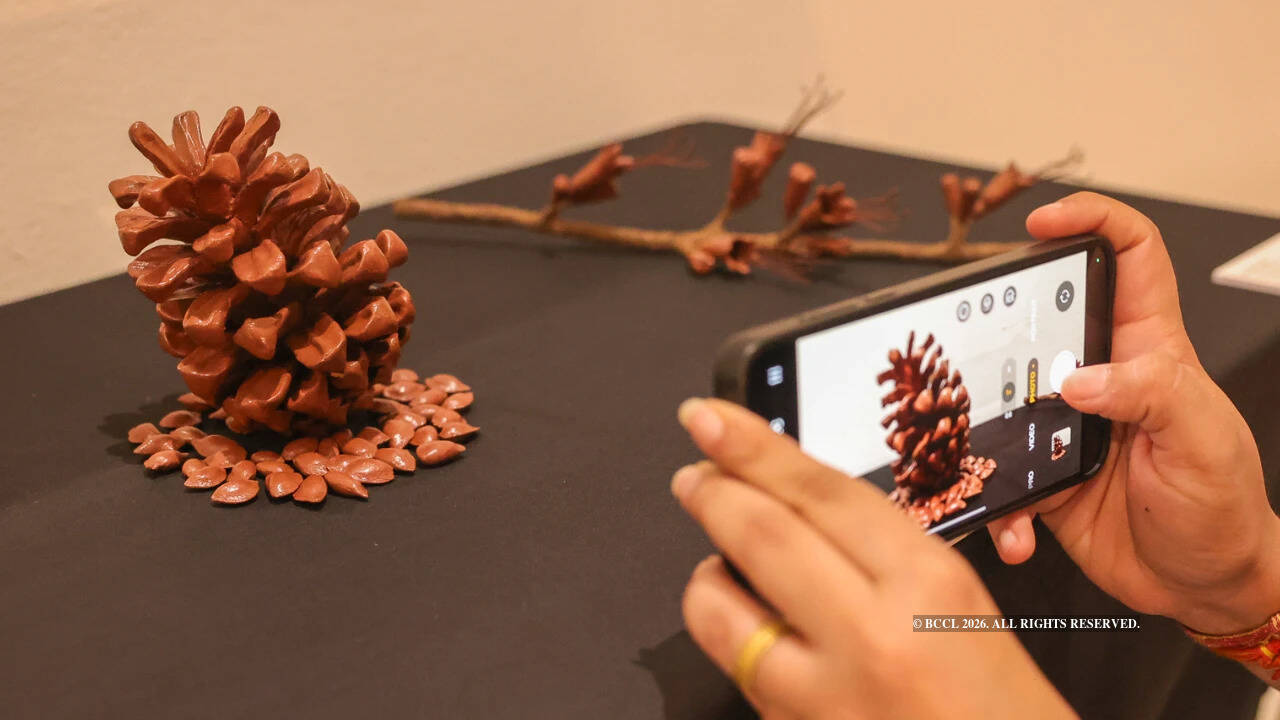 Ecology to aspiration: Art reflects the many faces of paradise