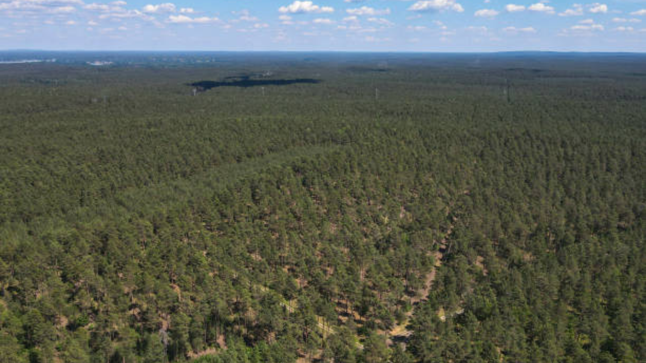 North Carolina family protects 298 acres 214 years after buying land in 1811