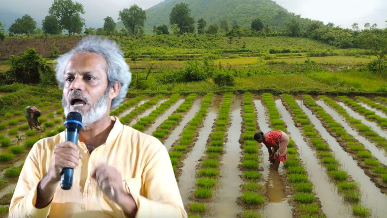 Odisha man left job to build seed bank saving India’s traditional rice varieties