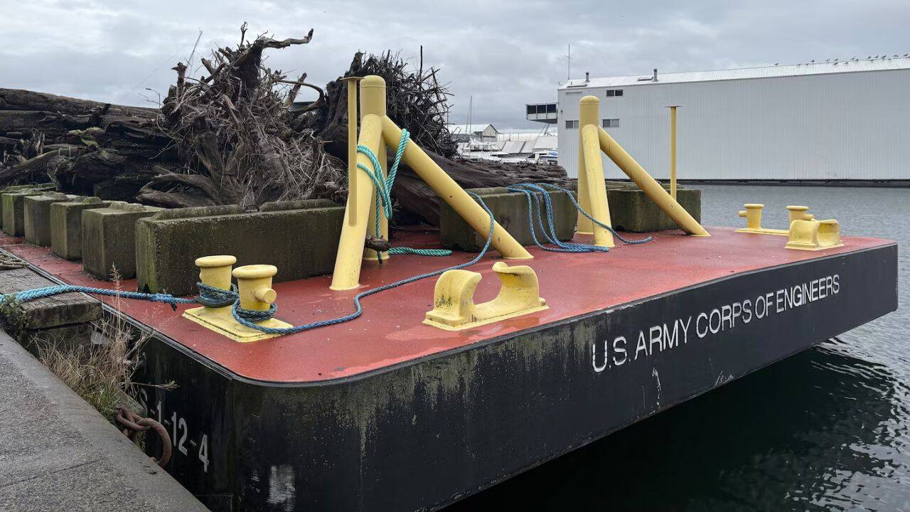 Seattle removes 900 tons of driftwood yearly; 80% is reused for wildlife habitat
