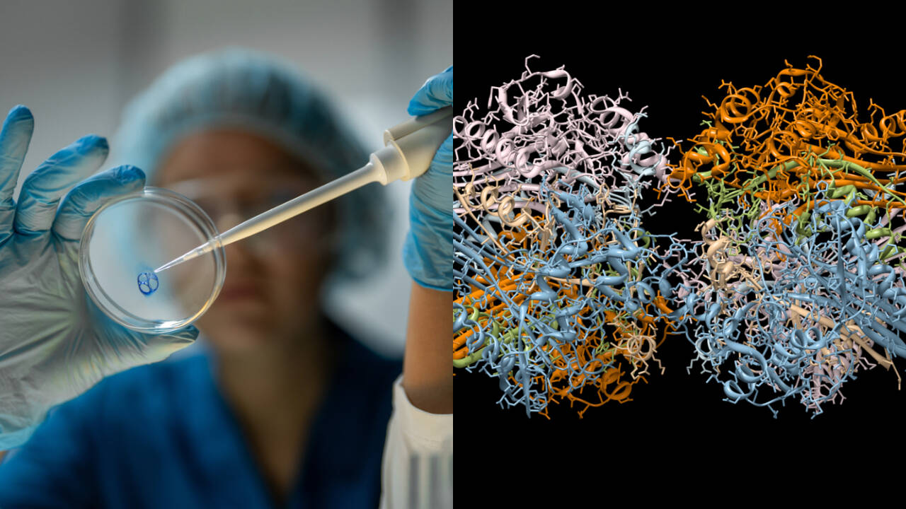 Headlines thumbnail