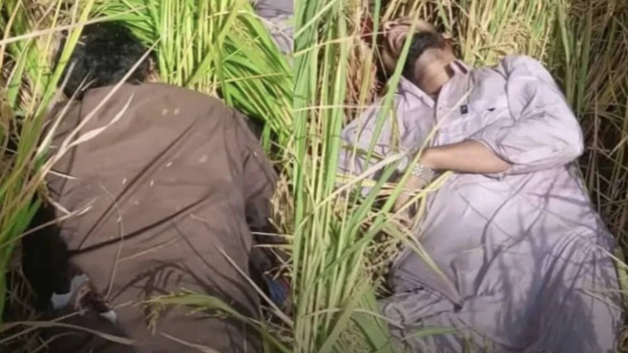 Two suspected Pakistani intruders shot dead in Tarn Taran