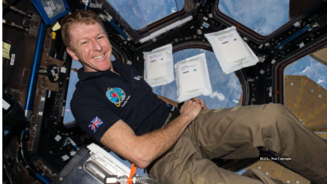 UK children tested 600,000 space seeds; they grew slower but stayed viable