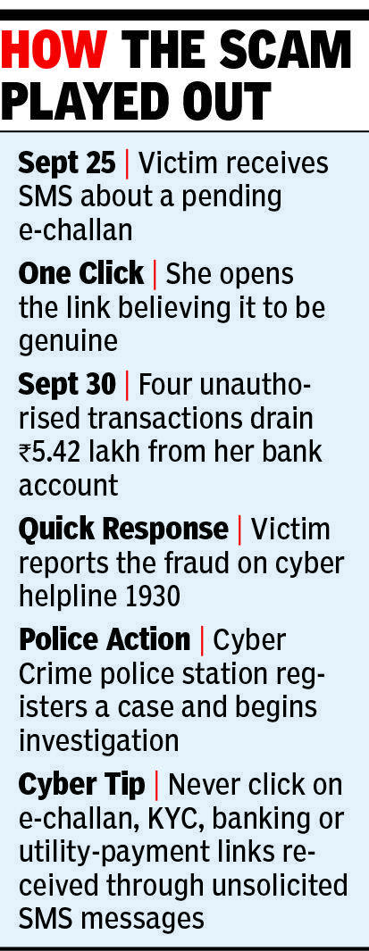 Fake e-challan link costs Panchkula tutor Rs 5.4 lakh