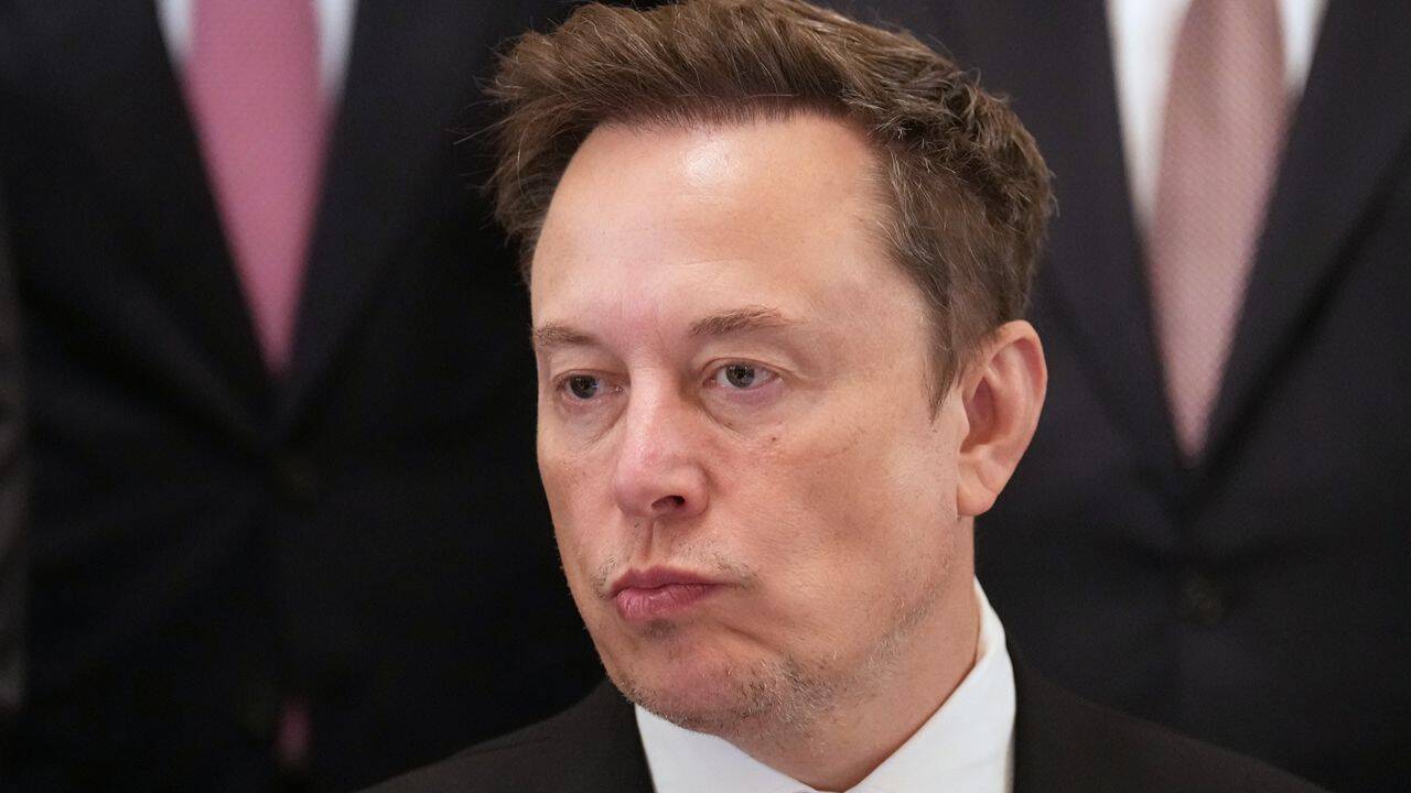 Elon Musk admits that Tesla Robotaxis have a 'cat problem'
