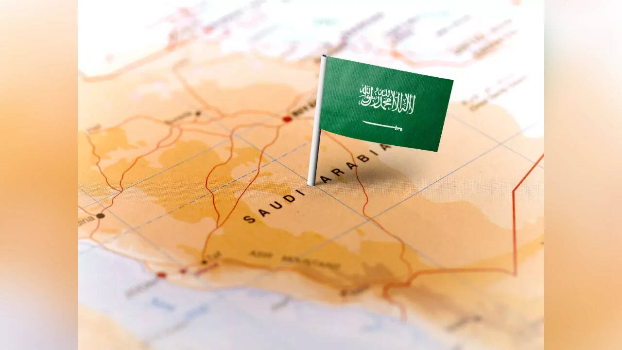 Govt likely to sign BIT with Saudi Arabia