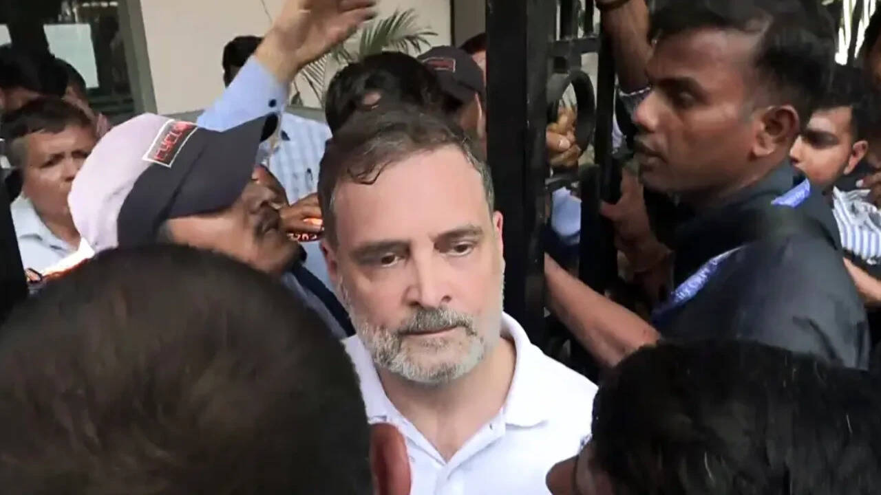 'A skunk': DMK questions Rahul Gandhi over stand on SIR deletions in Tamil Nadu