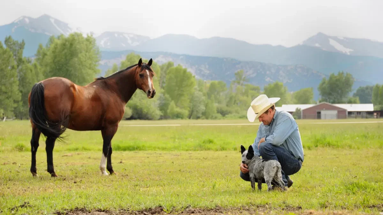 150 years, 6 generations and 650 protected acres: The story of a Colorado ranch
