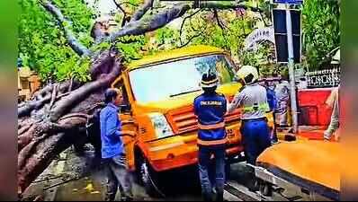 Fatal Chembur tree crash a result of multiple factors, not single failure: Report