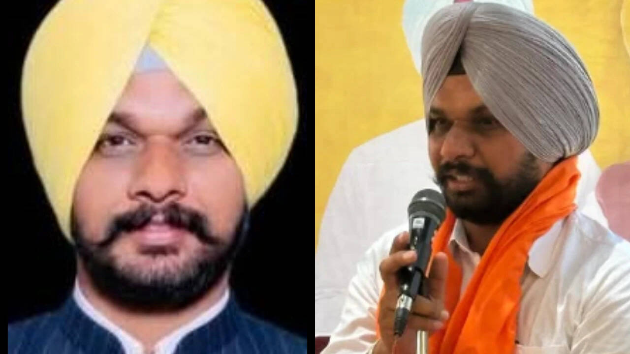 AAP neta claims wife posed as PCS officer, hid previous marriage, 18-year-old son