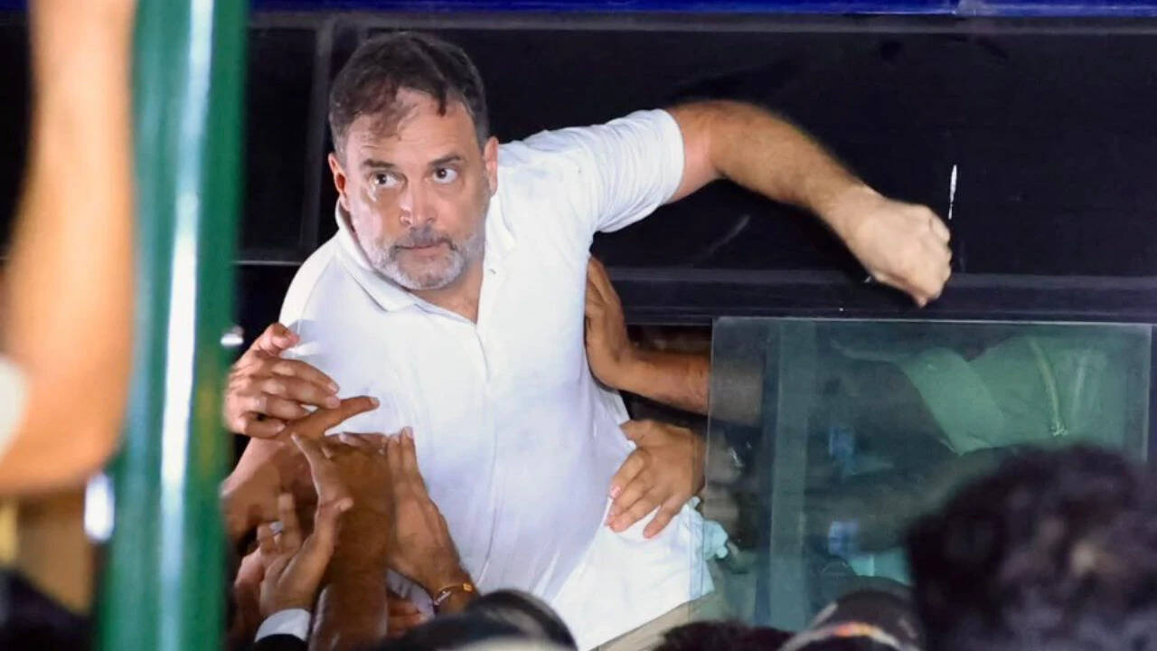 DMK’s mixed signals on Rahul: Ex-ally backs Cong MP’s anti-CEC protest day after questioning silence on Tamil Nadu SIR