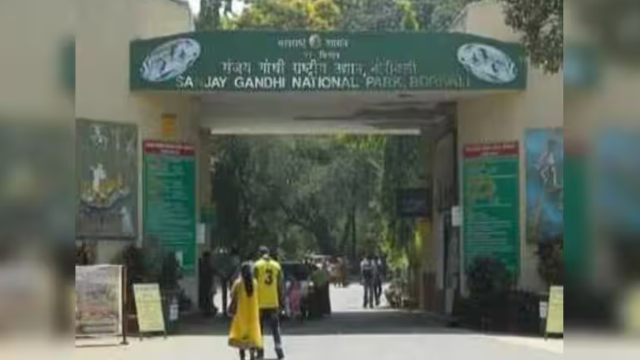 Fake entry scam at Mumbai's Sanjay Gandhi National Park busted, 1 held