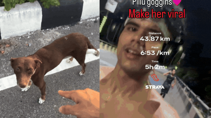 'Pichhle janam mein athlete rahi hogi': Meet Pillu Goggins, the stray who ran 38km without missing a beat